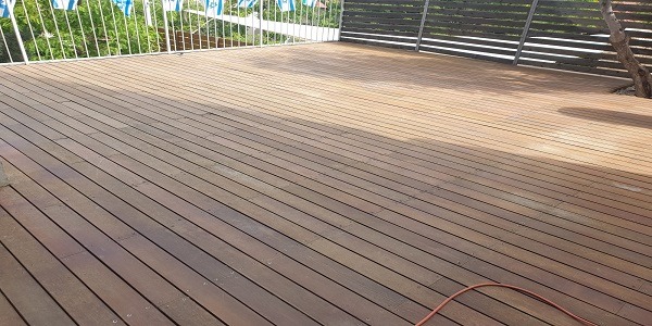 ‏‏טיפול בדק מקצועי בחיפה - מקצוענים 2000