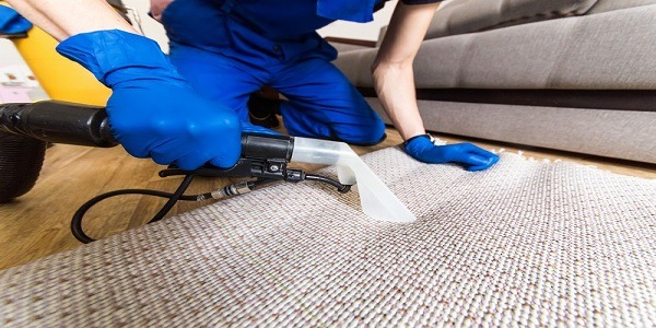 ניקוי שטיחים מקיר לקיר - שירות אחריות ומחיר הטוב ביותר - מקצוענים 2000
