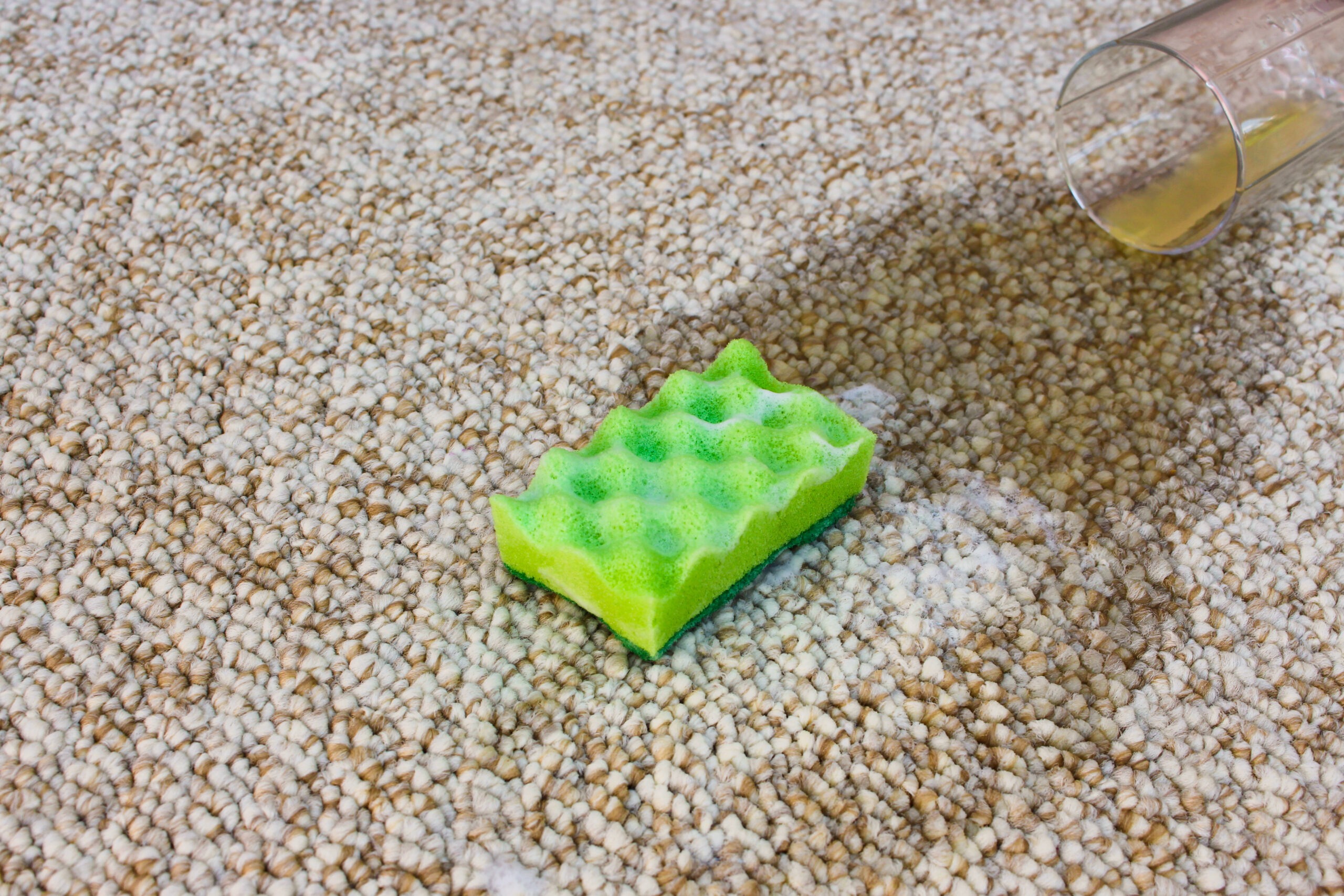 פתרונות ניקוי ירוקים לשטיחים שישדרגו את המשרד שלך 